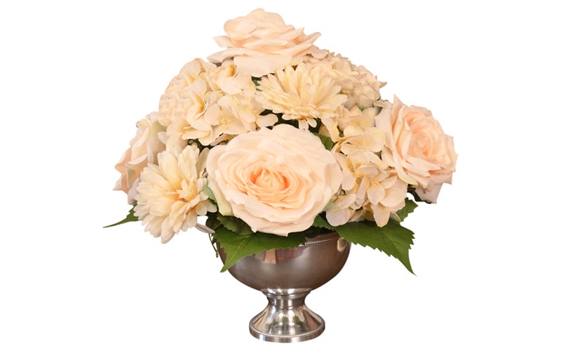 Cream Roses