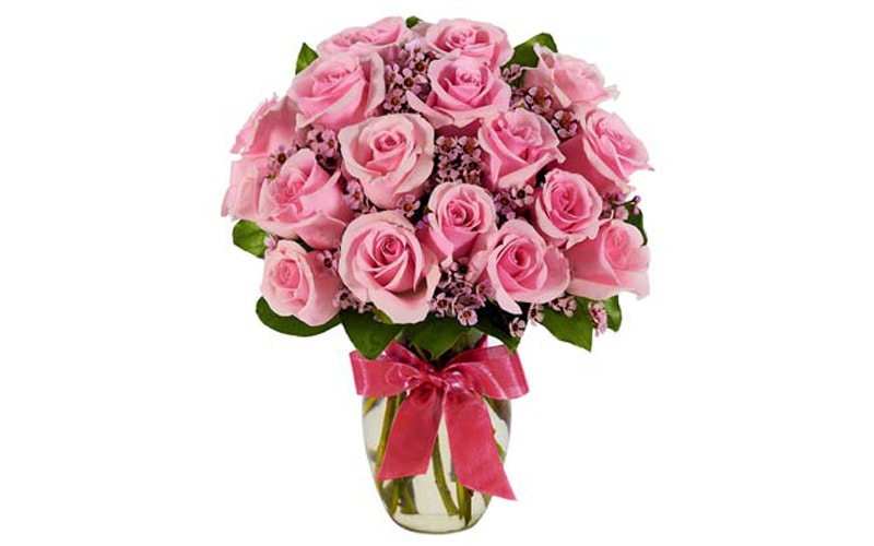 Light Pink Roses