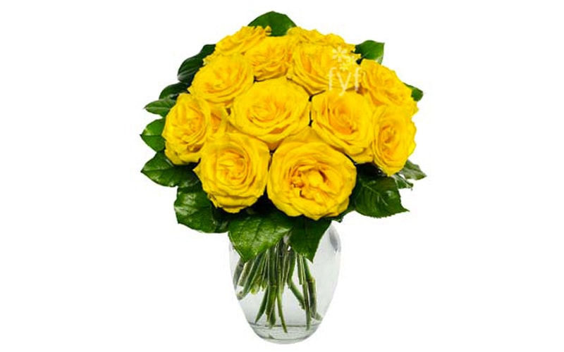 Yellow Roses