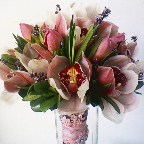 Pink Cymbidium Orchids - Holland Tulips