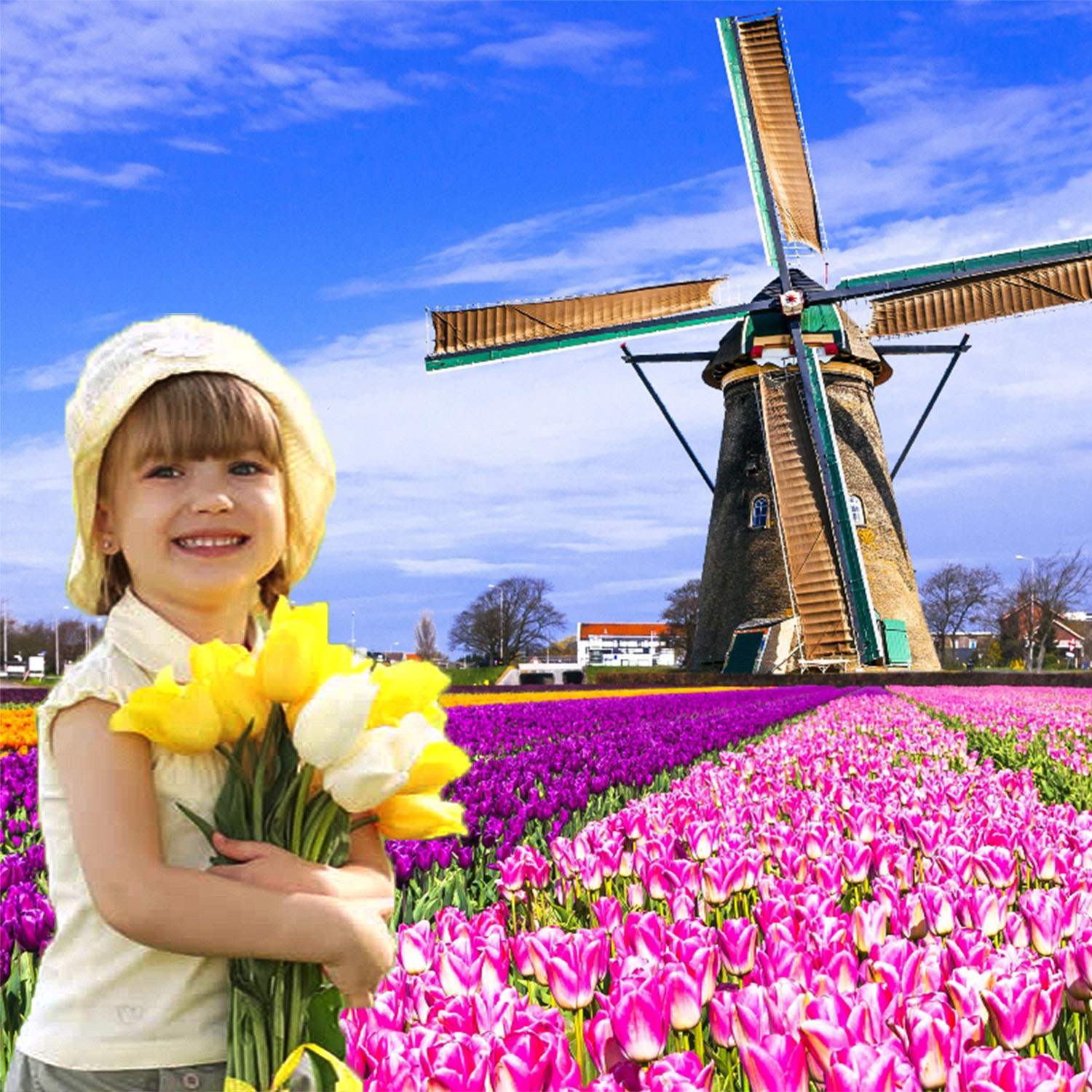 FlowerCareTipsBg - Holland Tulips